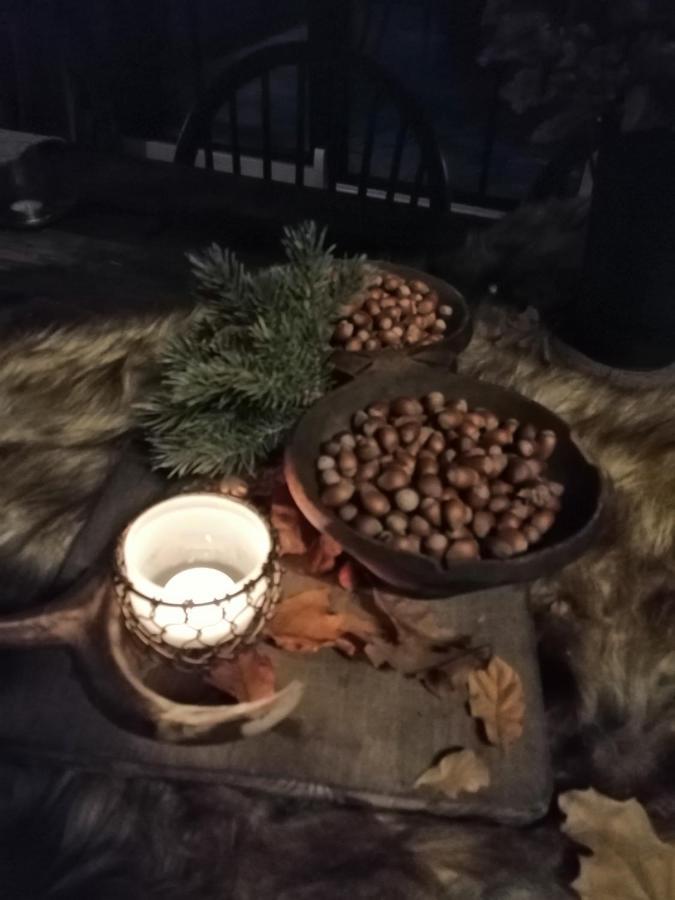 Le Hangar Des Voyageurs Petit-Halleux Kültér fotó